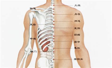 背有痣男|男人背上的痣图解大全 面相 成熟稳重